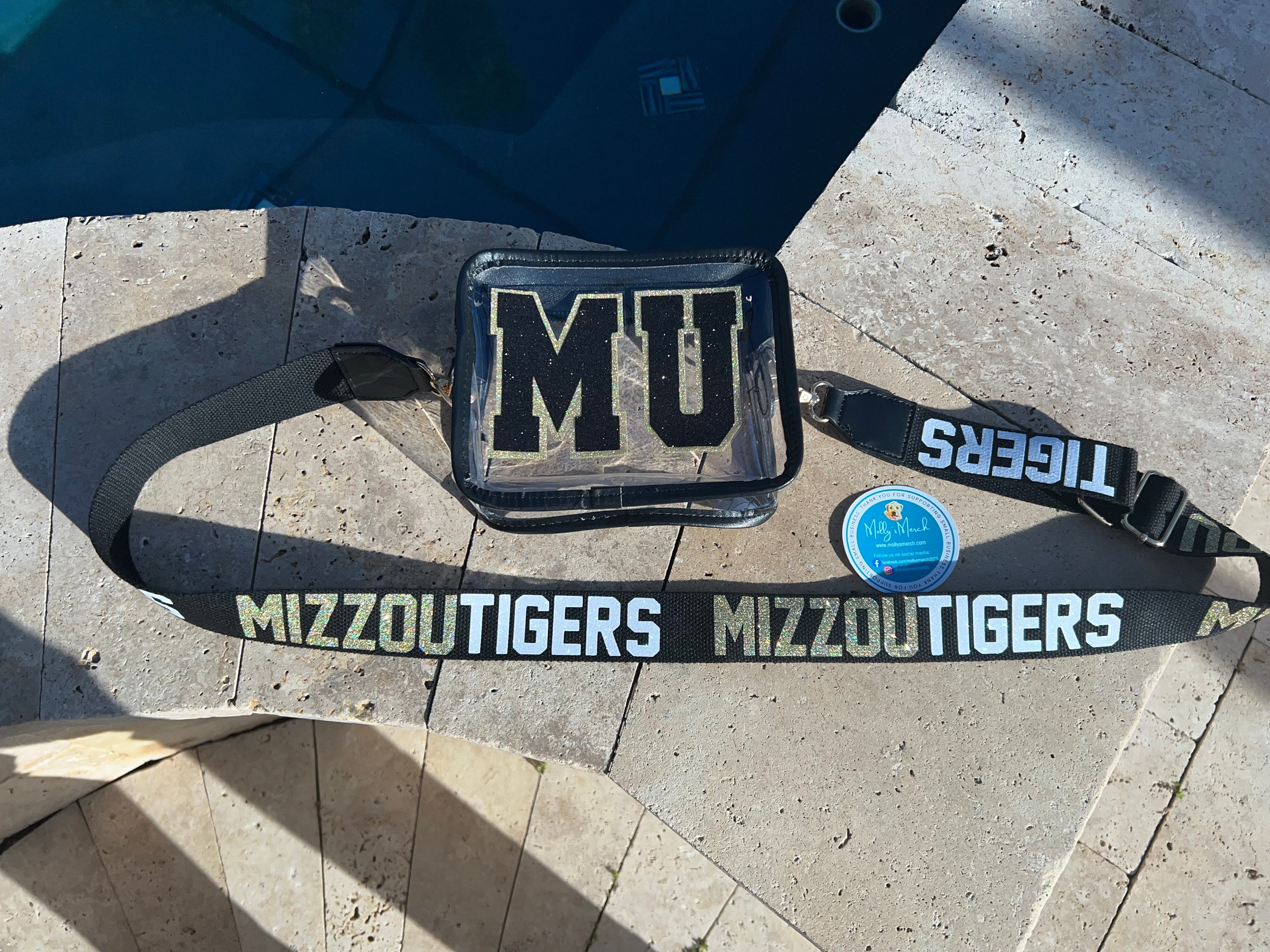 Clear Bag- College Stadium Approved