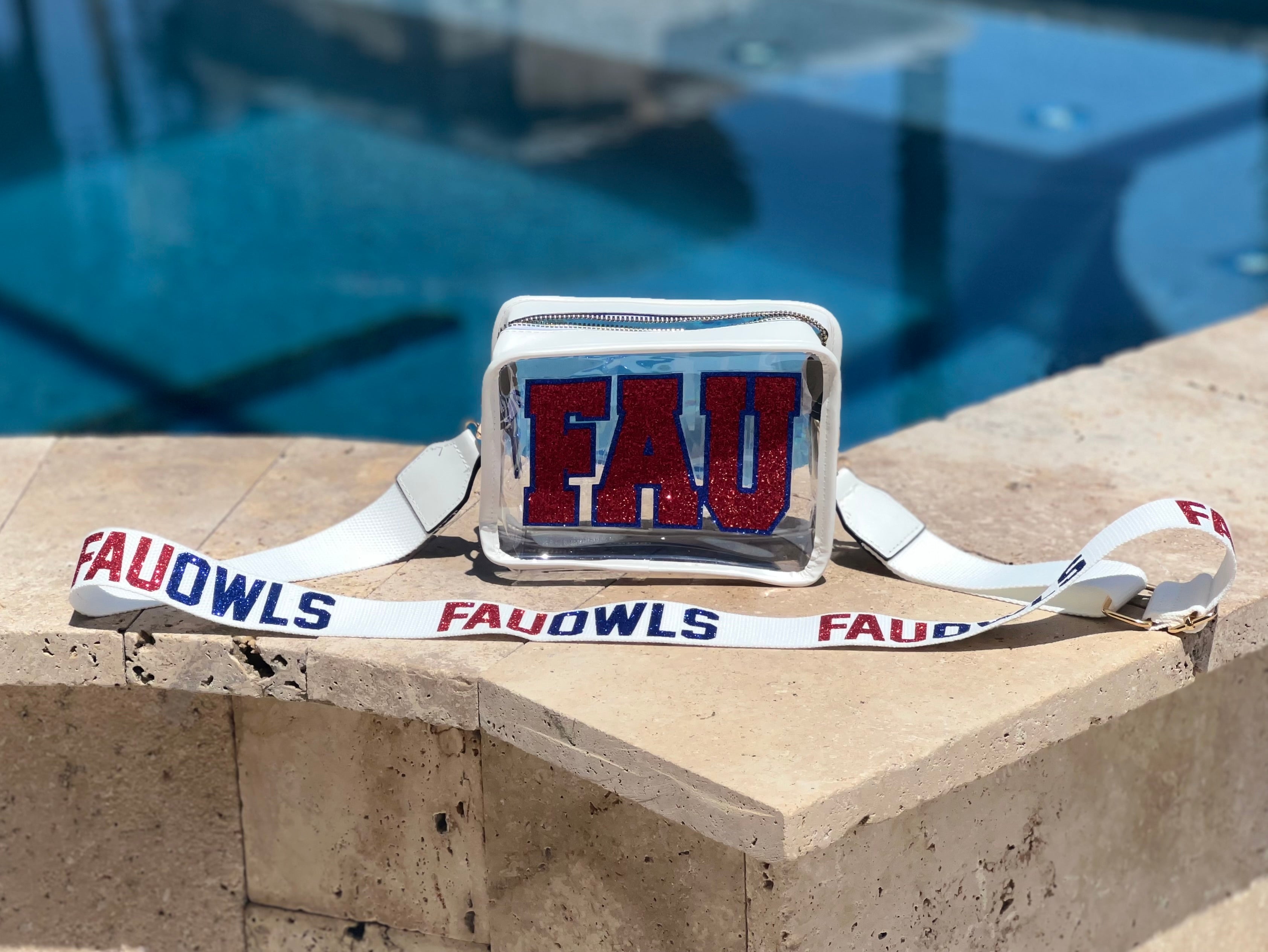 Clear Bag- College Stadium Approved